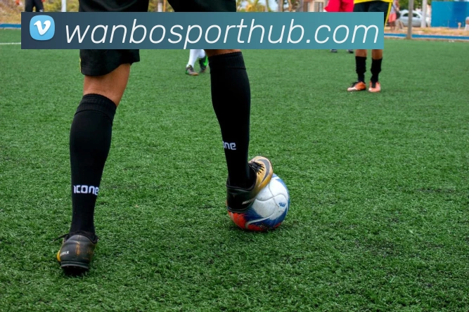 万博体育平台生态图